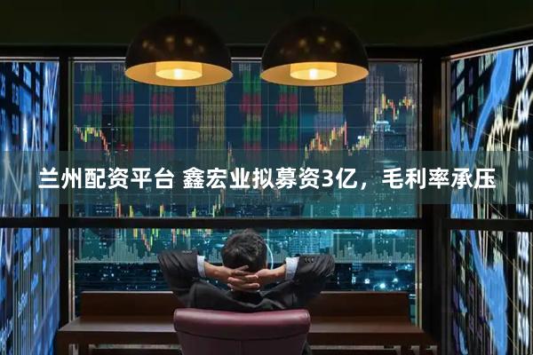 兰州配资平台 鑫宏业拟募资3亿，毛利率承压