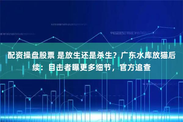 配资操盘股票 是放生还是杀生?广东水库放猫后续:目击者曝更多细节,官方追查