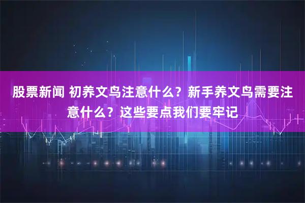 股票新闻 初养文鸟注意什么?新手养文鸟需要注意什么?这些要点我们要牢记